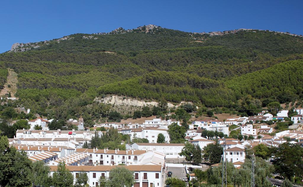 Ferienwohnung Casa Gil - La Vega El Bosque Exterior foto